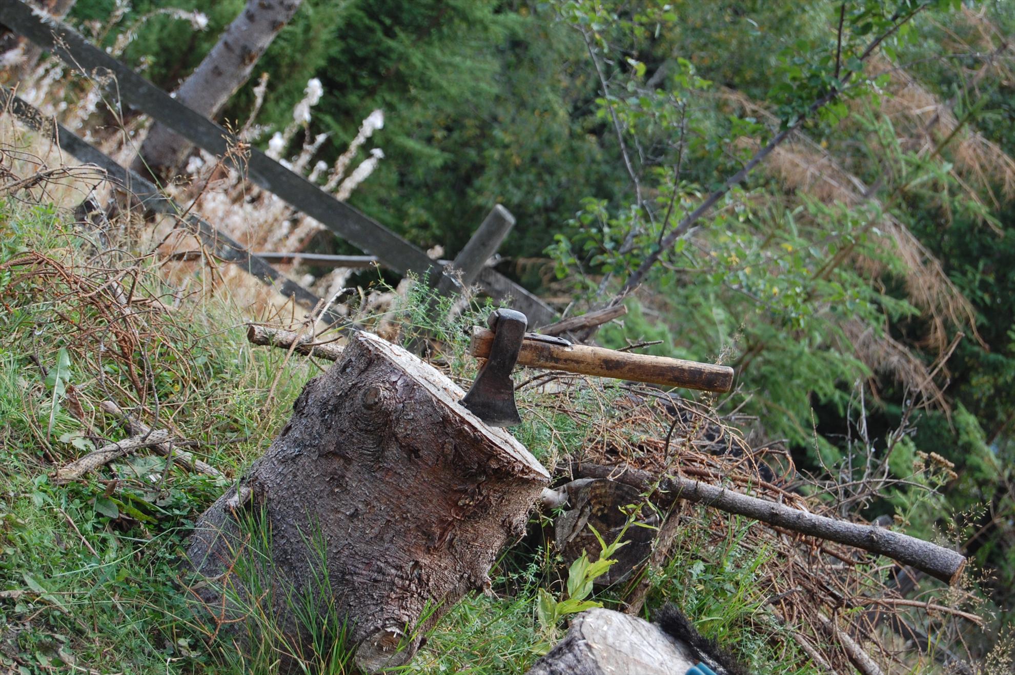 My new passion...2 - dsc032911.JPG